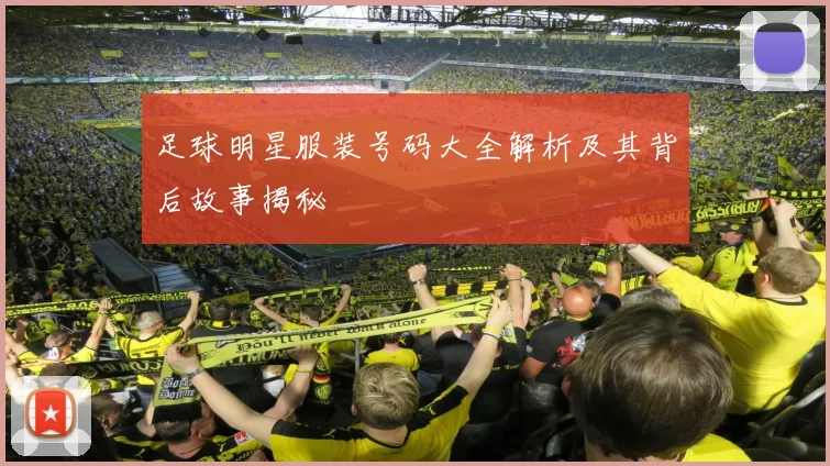 足球明星服装号码大全解析及其背后故事揭秘