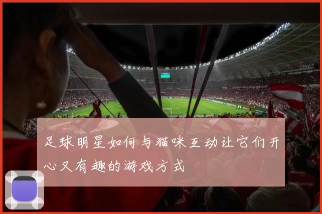 足球明星如何与猫咪互动让它们开心又有趣的游戏方式