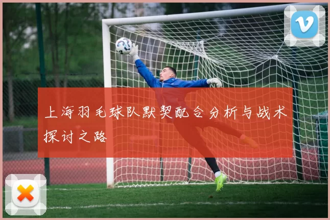 上海羽毛球队默契配合分析与战术探讨之路