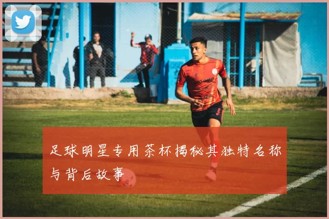 足球明星专用茶杯揭秘其独特名称与背后故事