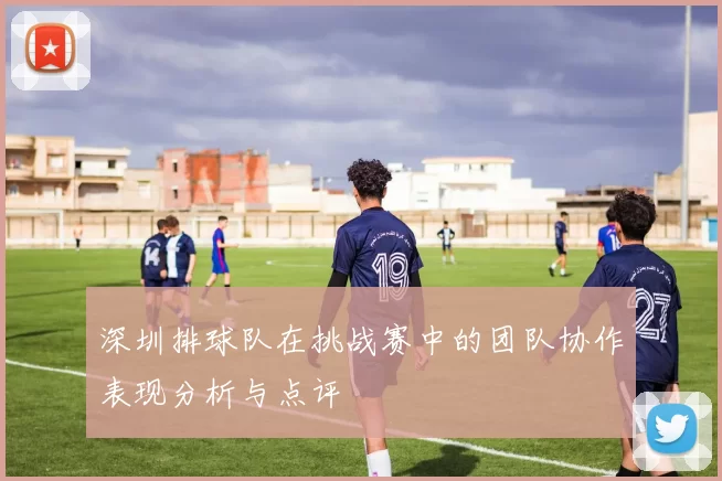 深圳排球队在挑战赛中的团队协作表现分析与点评