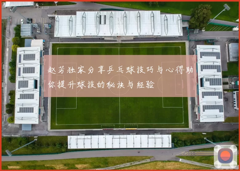 赵芳独家分享乒乓球技巧与心得助你提升球技的秘诀与经验
