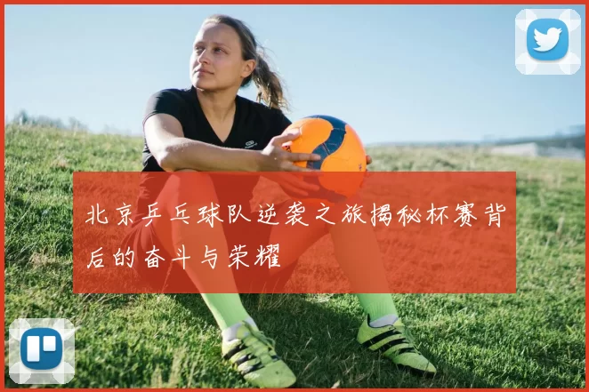 北京乒乓球队逆袭之旅揭秘杯赛背后的奋斗与荣耀