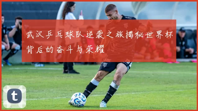 武汉乒乓球队逆袭之旅揭秘世界杯背后的奋斗与荣耀