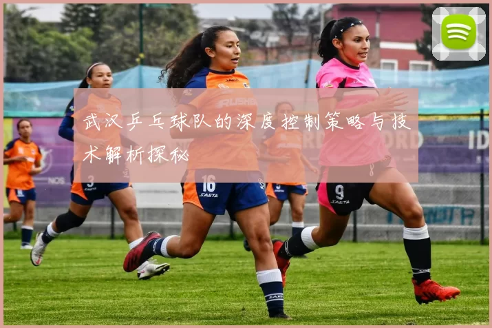 武汉乒乓球队的深度控制策略与技术解析探秘