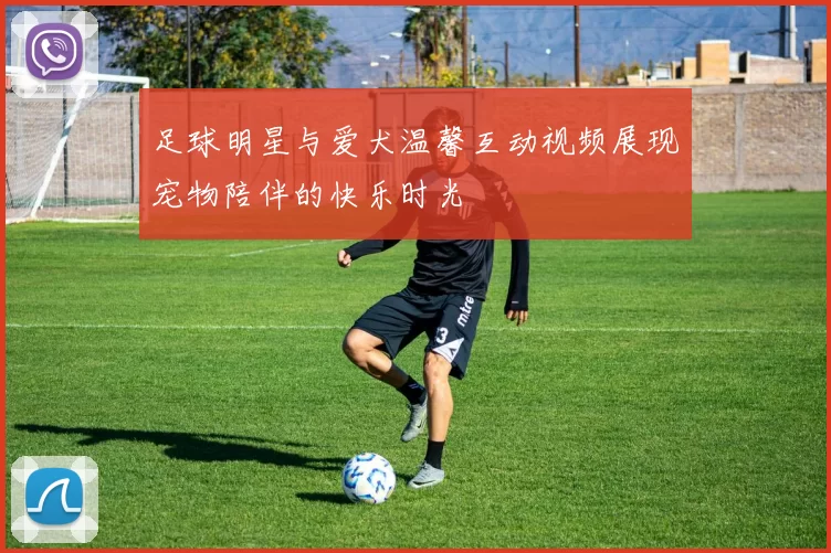 足球明星与爱犬温馨互动视频展现宠物陪伴的快乐时光