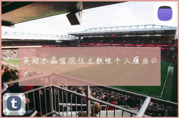 英超水晶宫现任主教练个人履历公开