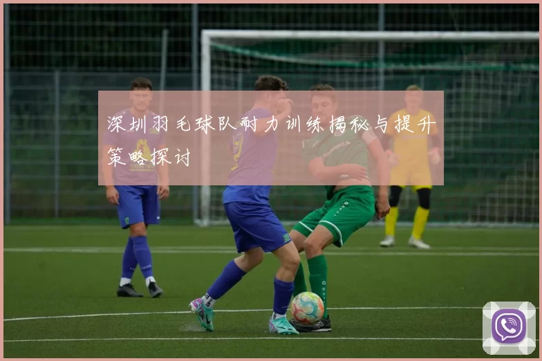 深圳羽毛球队耐力训练揭秘与提升策略探讨