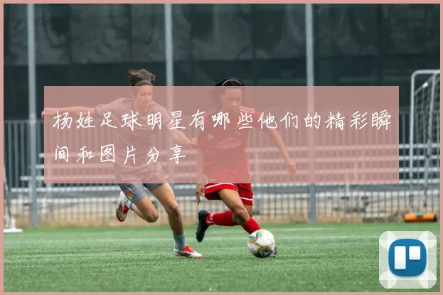 杨姓足球明星有哪些他们的精彩瞬间和图片分享