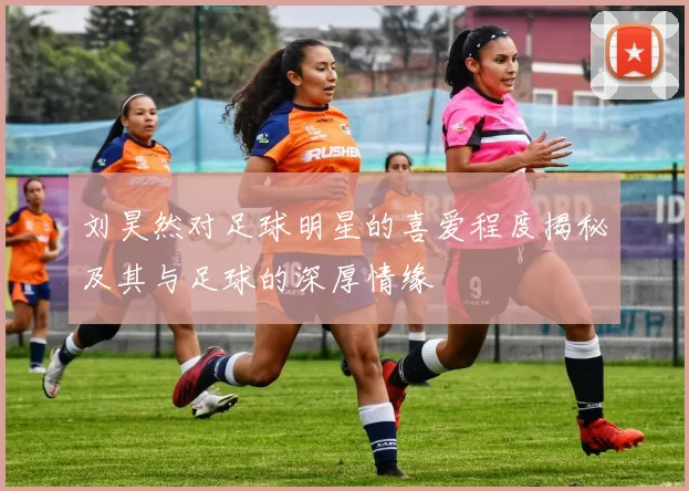 刘昊然对足球明星的喜爱程度揭秘及其与足球的深厚情缘