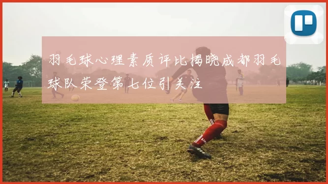 羽毛球心理素质评比揭晓成都羽毛球队荣登第七位引关注