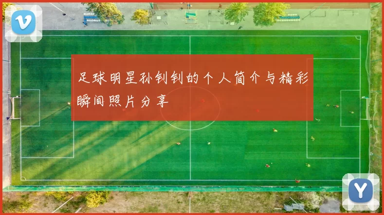 足球明星孙钊钊的个人简介与精彩瞬间照片分享
