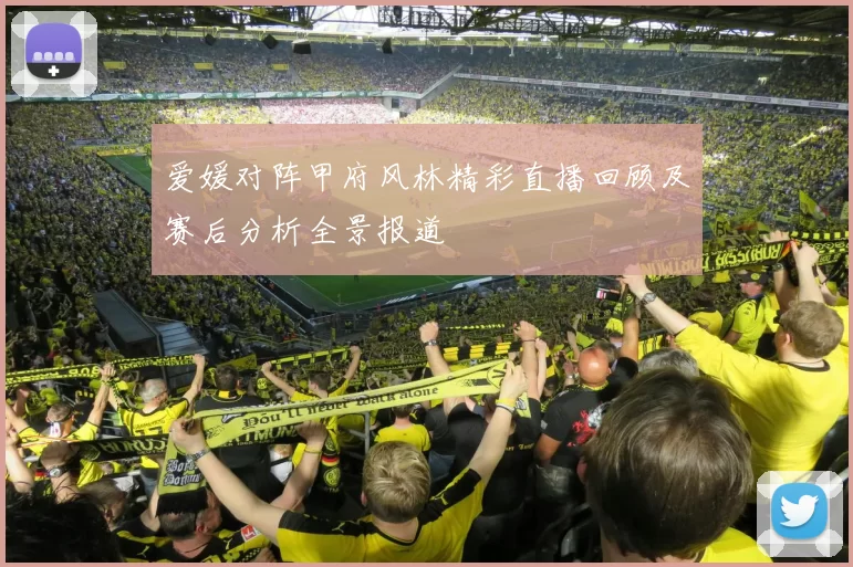 爱媛对阵甲府风林精彩直播回顾及赛后分析全景报道
