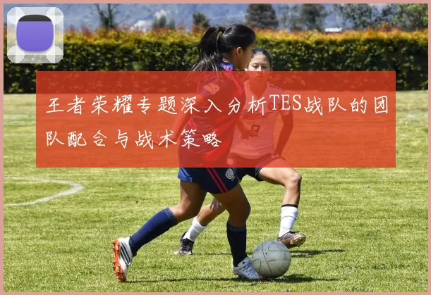 王者荣耀专题深入分析TES战队的团队配合与战术策略