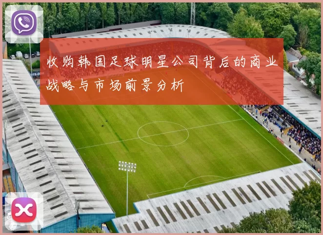 收购韩国足球明星公司背后的商业战略与市场前景分析