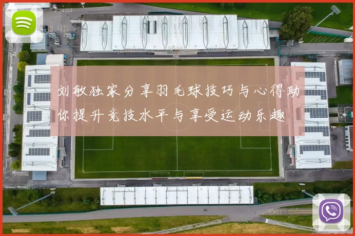 刘敏独家分享羽毛球技巧与心得助你提升竞技水平与享受运动乐趣