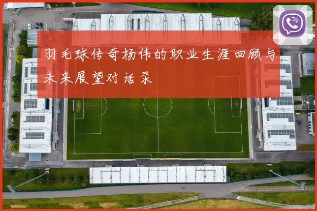羽毛球传奇杨伟的职业生涯回顾与未来展望对话录