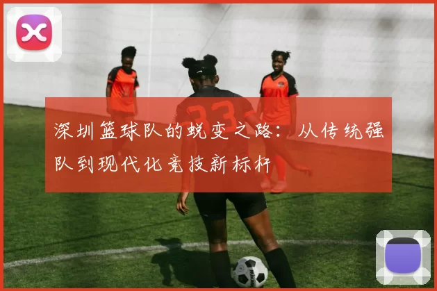 深圳篮球队的蜕变之路：从传统强队到现代化竞技新标杆
