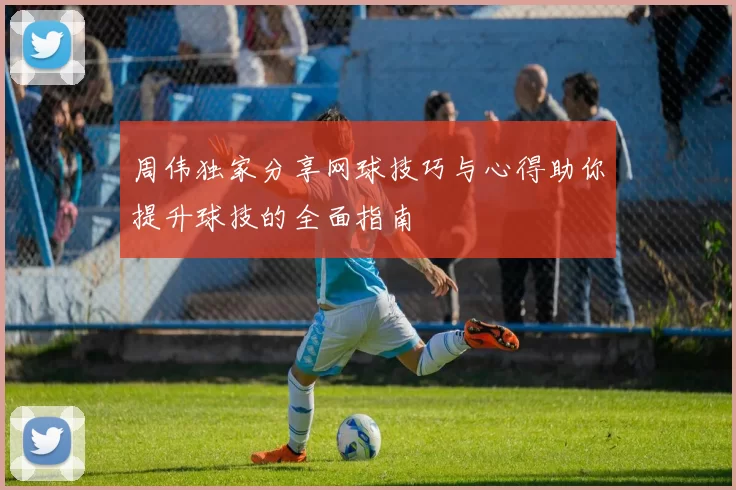 周伟独家分享网球技巧与心得助你提升球技的全面指南