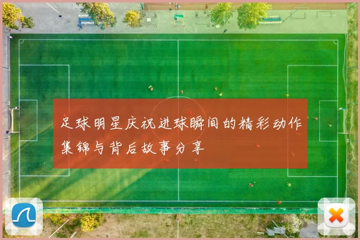 足球明星庆祝进球瞬间的精彩动作集锦与背后故事分享