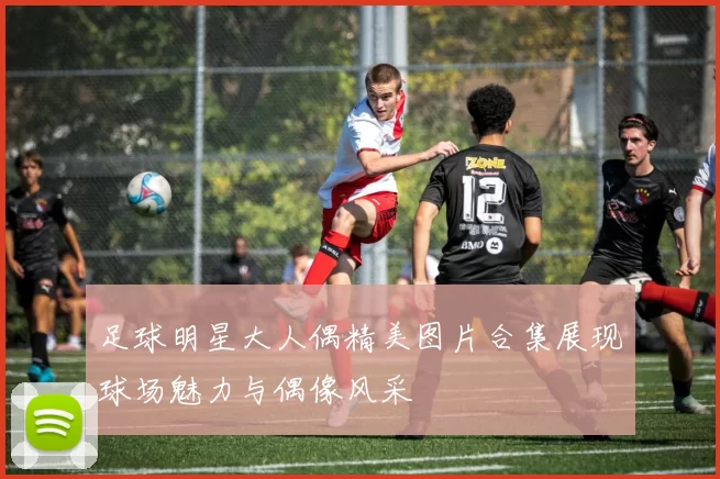 足球明星大人偶精美图片合集展现球场魅力与偶像风采