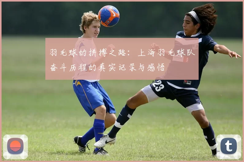 羽毛球的拼搏之路：上海羽毛球队奋斗历程的真实记录与感悟