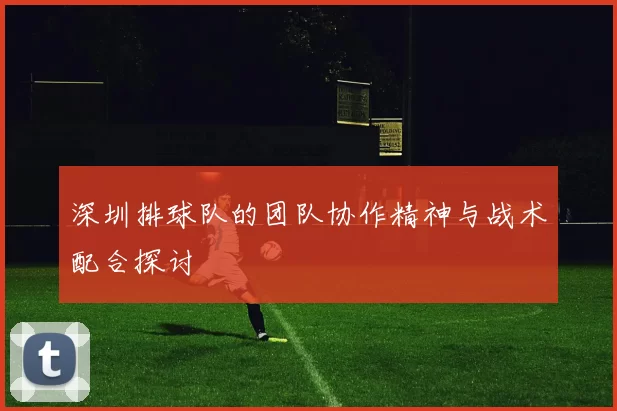 深圳排球队的团队协作精神与战术配合探讨