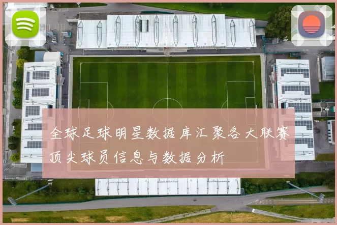 全球足球明星数据库汇聚各大联赛顶尖球员信息与数据分析