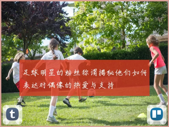 足球明星的粉丝称谓揭秘他们如何表达对偶像的热爱与支持